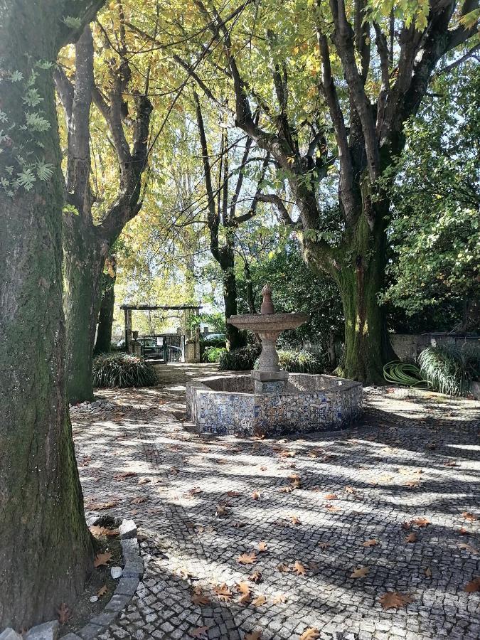 Camelia Rooms Guimarães Dış mekan fotoğraf